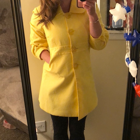 Yellow Jacket - Picture 2 of 2